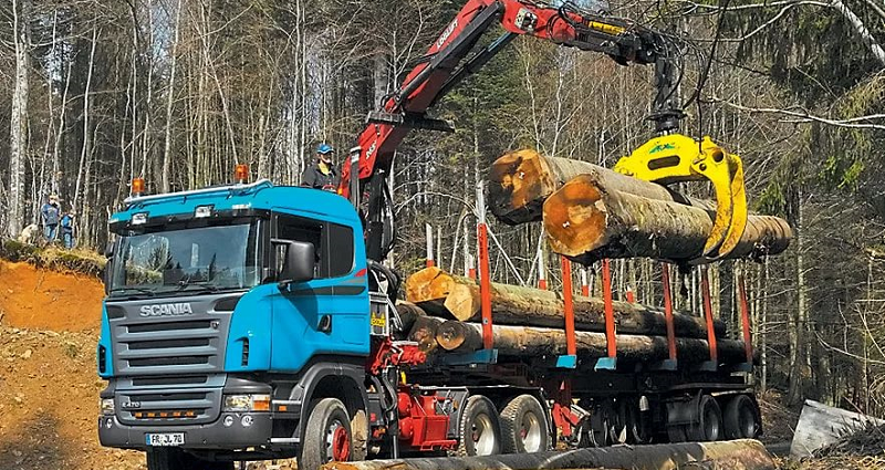 Перевозка леса требует особой конструкции